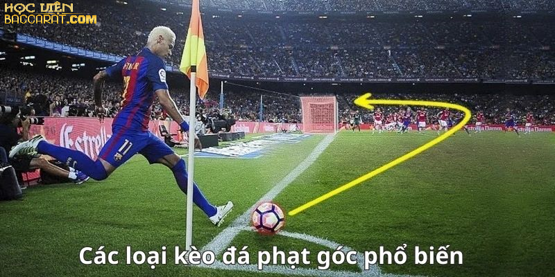 Cách Đặt Cược Kèo Phạt Góc 2 Chiều Hiệu Quả